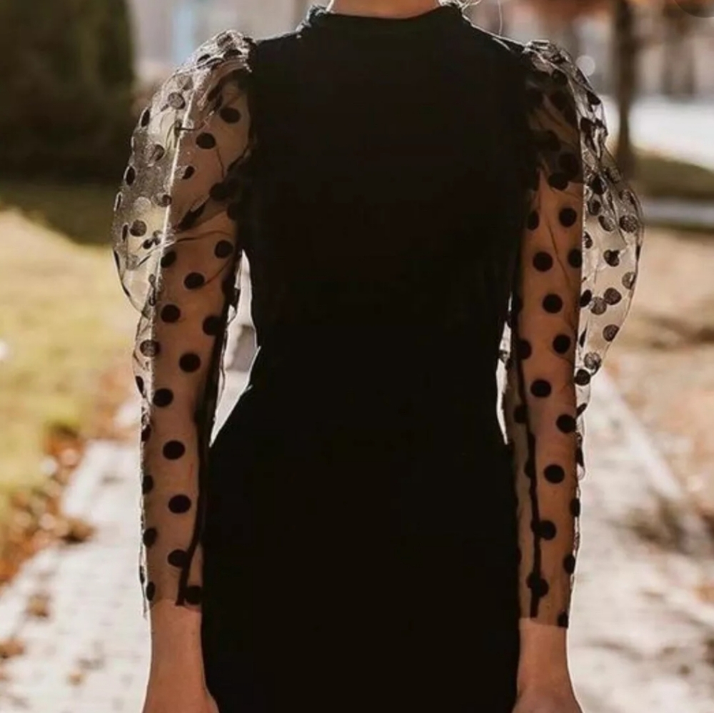Zara velvet dotted mesh dress - Picture 7 of 8